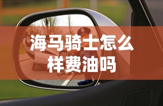 海马骑士怎么样费油吗  第1张