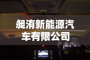 昶洧新能源汽车有限公司  第1张