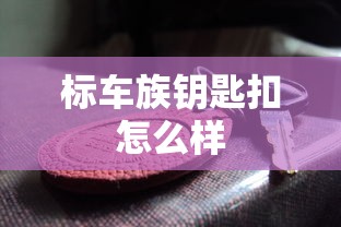 标车族钥匙扣怎么样  第1张