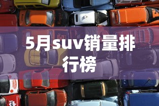 5月suv销量排行榜  第1张
