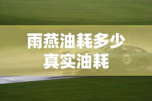 雨燕油耗多少真实油耗  第1张