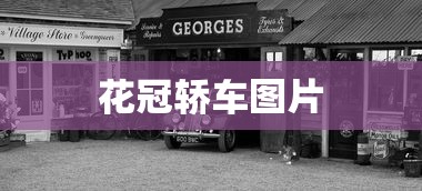 花冠轿车图片  第1张