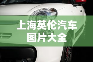 上海英伦汽车图片大全  第1张