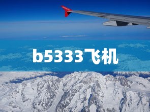 b5333飞机  第1张