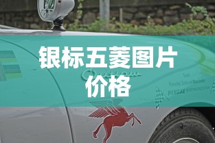 银标五菱图片价格  第1张