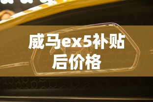 威马ex5补贴后价格  第1张