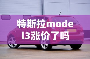 特斯拉model3涨价了吗  第1张