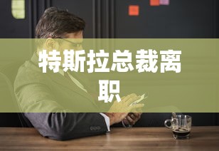 特斯拉总裁离职  第1张
