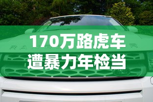 170万路虎车遭暴力年检当场爆缸了  第1张