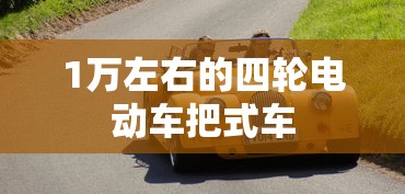 1万左右的四轮电动车把式车  第1张