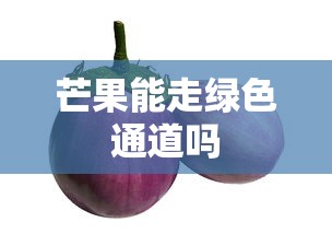 芒果能走绿色通道吗  第1张