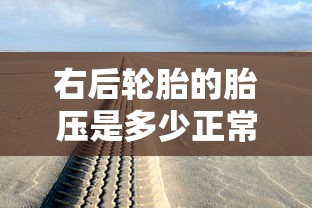 右后轮胎的胎压是多少正常  第1张