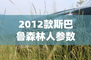 2012款斯巴鲁森林人参数  第1张