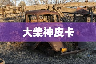 大柴神皮卡  第1张