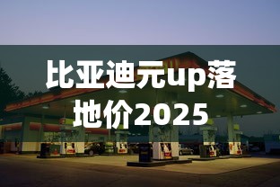 比亚迪元up落地价2025  第1张