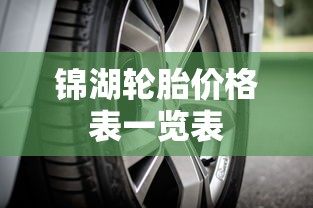 锦湖轮胎价格表一览表  第1张