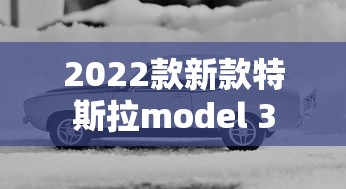 2022款新款特斯拉model 3  第1张