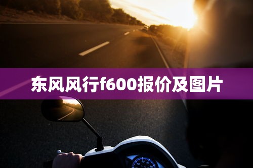 东风风行f600报价及图片  第1张
