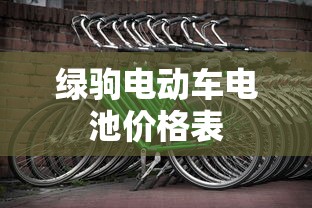 绿驹电动车电池价格表  第1张