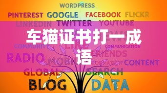 车猫证书打一成语  第1张