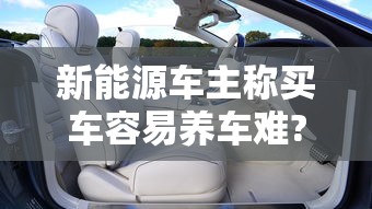新能源车主称买车容易养车难?  第1张