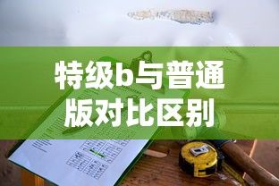 特级b与普通版对比区别  第1张
