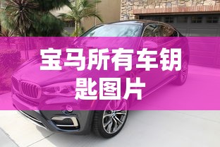 宝马所有车钥匙图片  第1张