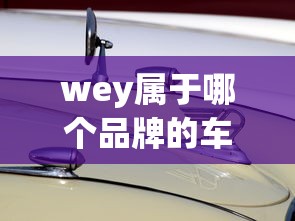 wey属于哪个品牌的车  第1张