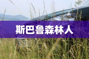 斯巴鲁森林人  第1张