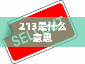 213是什么意思  第1张