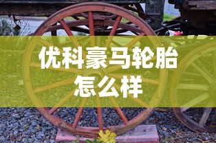 优科豪马轮胎怎么样  第1张