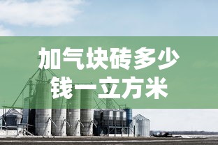 加气块砖多少钱一立方米  第1张