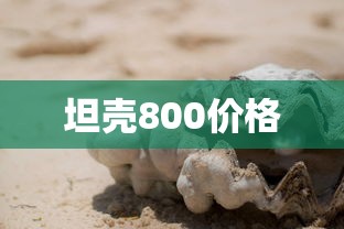 坦壳800价格  第1张