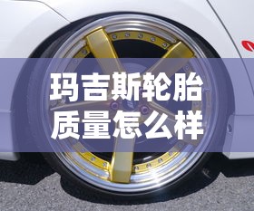 玛吉斯轮胎质量怎么样  第1张