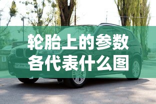 轮胎上的参数各代表什么图片  第1张