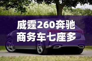 威霆260奔驰商务车七座多少钱  第1张