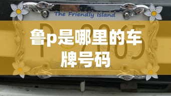 鲁p是哪里的车牌号码  第1张