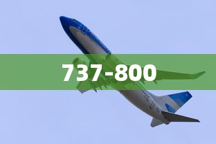 737-800  第1张