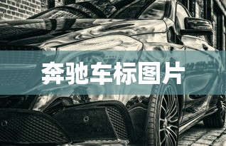 奔驰车标图片  第1张