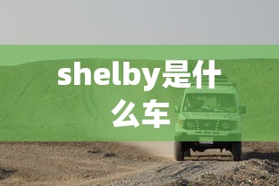 shelby是什么车  第1张