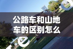 公路车和山地车的区别怎么选  第1张