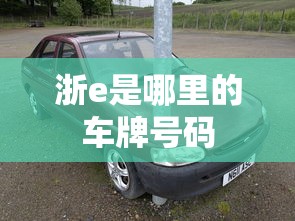浙e是哪里的车牌号码  第1张