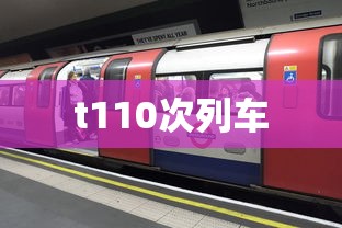t110次列车  第1张