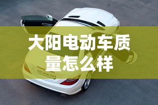 大阳电动车质量怎么样  第1张