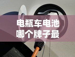 电瓶车电池哪个牌子最好最耐用  第1张