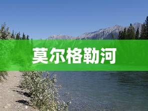 小花仙第五季免费观看完整版  第1张
