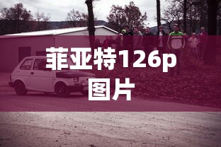 菲亚特126p图片  第1张