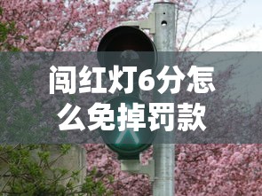 闯红灯6分怎么免掉罚款  第1张