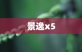 景逸x5  第1张