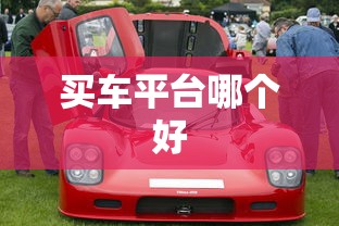 买车平台哪个好  第1张